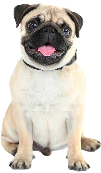 Image is not available